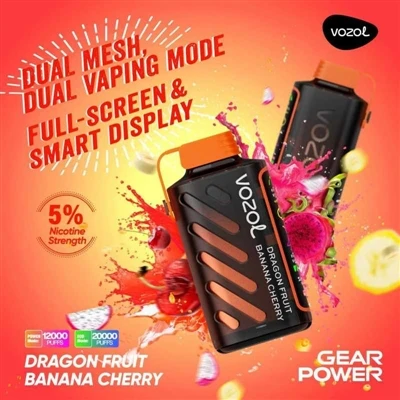 Kakav je pregled Vozol Gear Power?