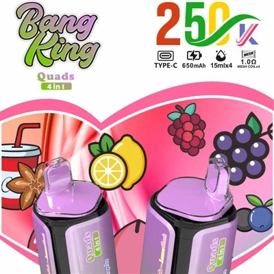 BANG KING Quads 4IN1 250000: potpuno novo iskustvo vrhunskih jednokratnih e-c...
