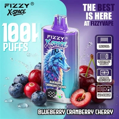 Fizzy 100K X Space: nije ništa posebno za uređaj da dugo traje; Istinski podv...