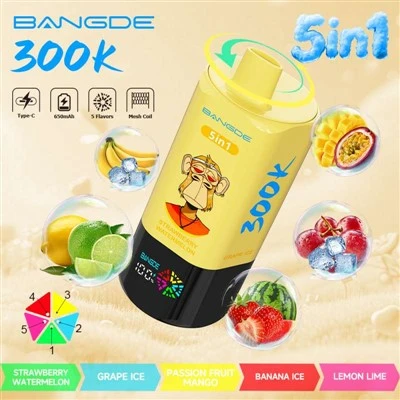 BANG DE 5 in1 300000