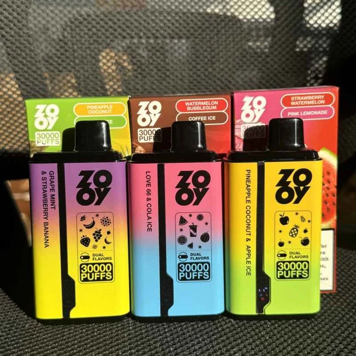 ZOOY Twins 30000 Double Flavor